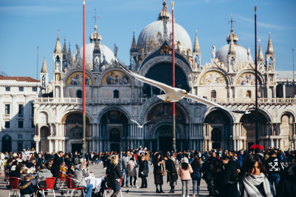 Basilica di San Marco e il Gabbiano