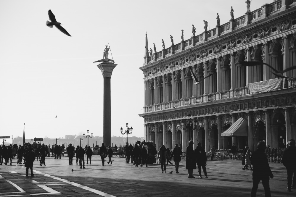 La Marciana e i piccioni di San Marco