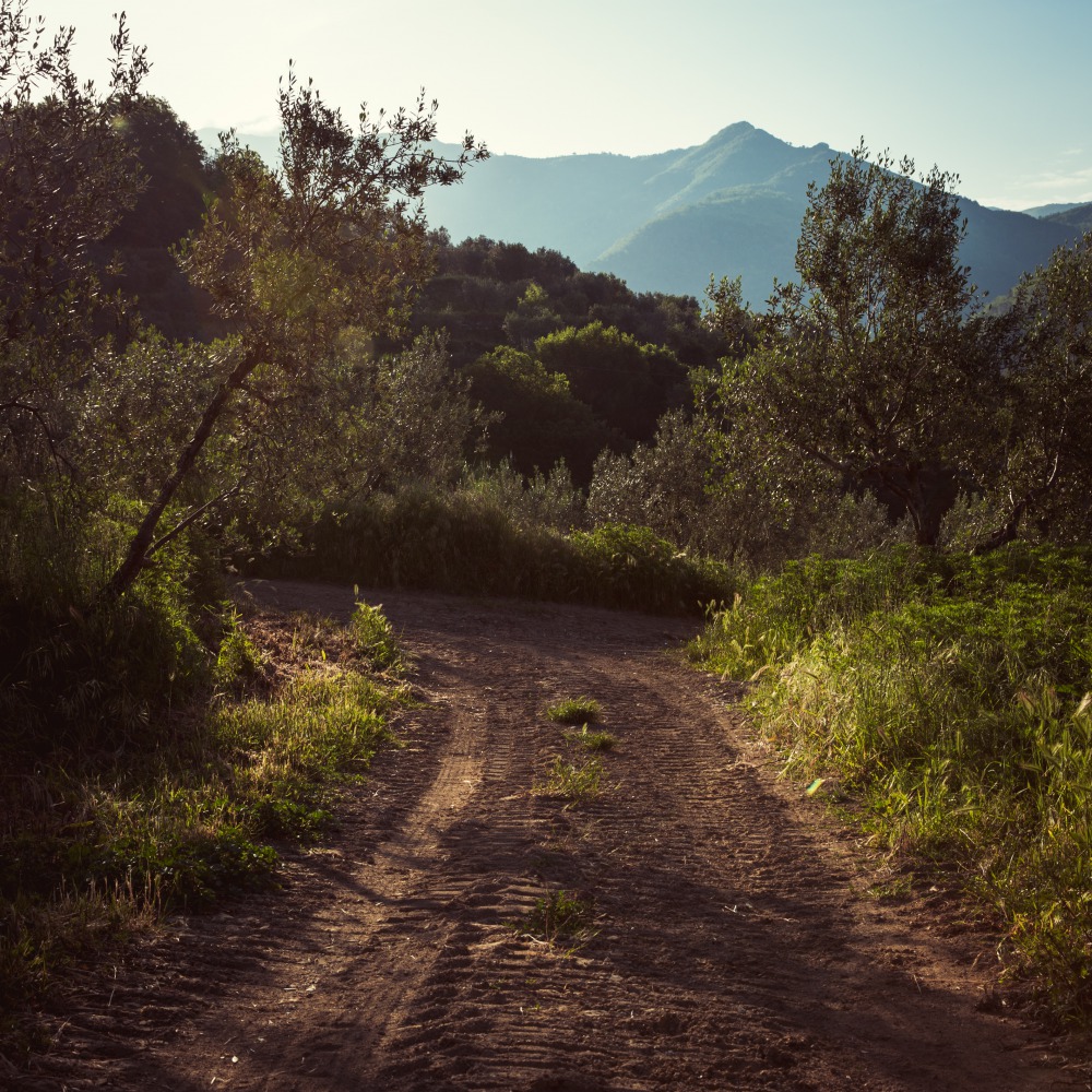 Un chemin chaotique